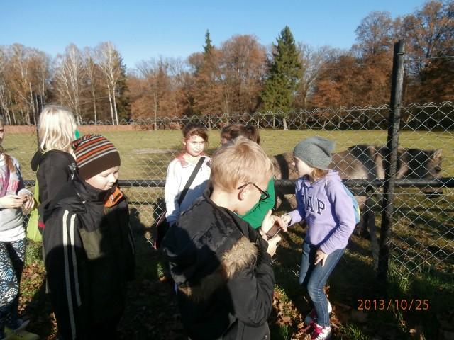 25.10.2013_WYCIECZKA DO BIAŁOWIEŻY40.JPG